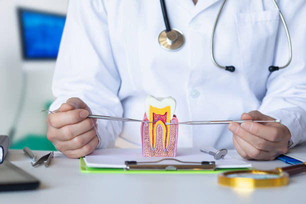 Best Emergency Dentist for Lost Fillings or Crowns in Lititz, PA